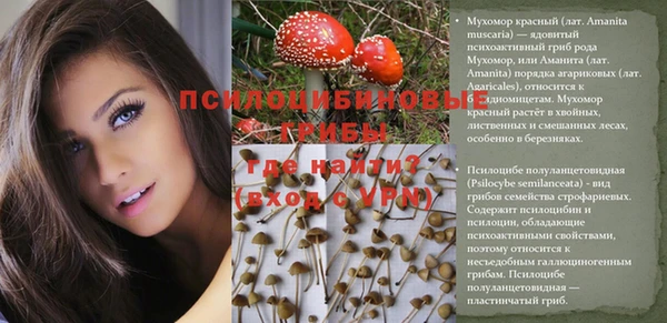 MDMA Premium VHQ Богородицк